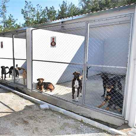 Hayvan Barınakları