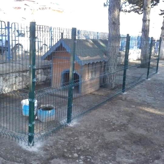 Hayvan Barınakları