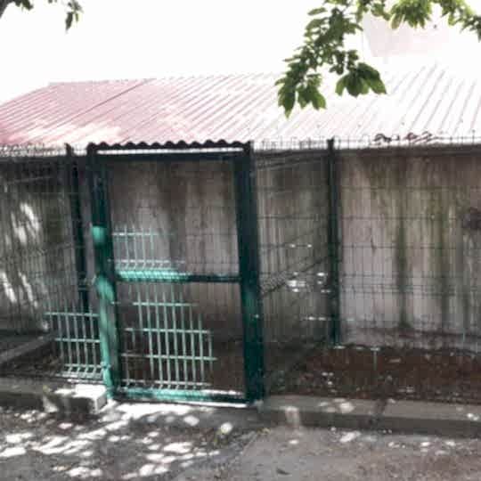 Hayvan Barınakları