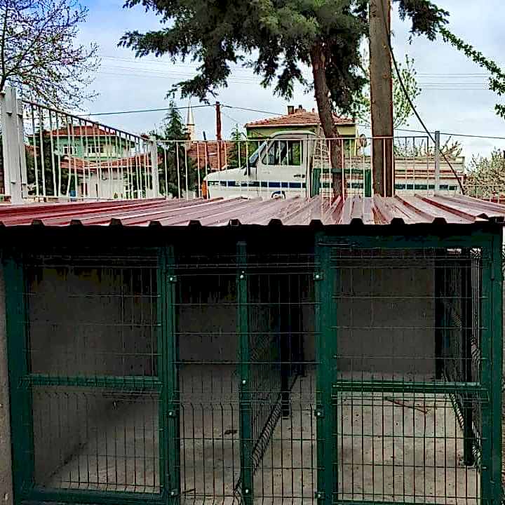 Hayvan Barınakları